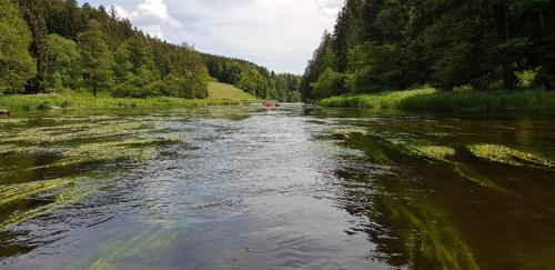 Příroda nedaleko apartmánu