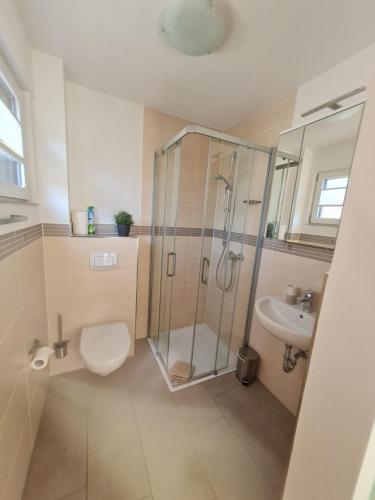 a bathroom with a shower and a toilet and a sink at Mosel-Auszeit in Brauneberg