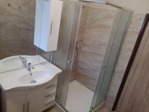 a bathroom with a shower with a sink and a toilet at Králíky apartmán in Králíky