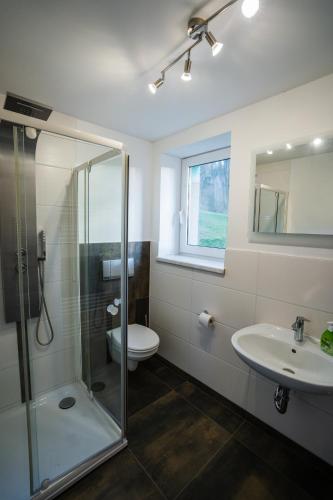 een badkamer met een douche, een toilet en een wastafel bij Das Appartment im Gästehaus im Rittergut Keulrod in Bischofrod