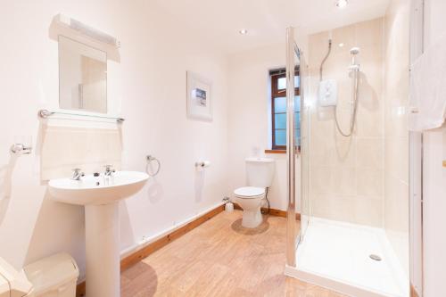 a bathroom with a shower and a sink and a toilet at Crib Goch Cottage in Llanfairpwllgwyngyll