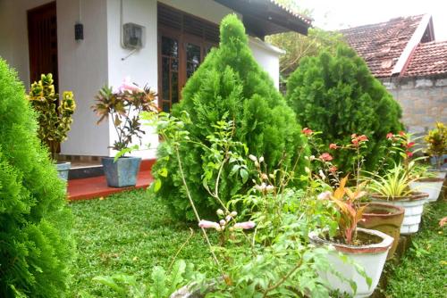 a garden with trees and plants in front of a house at Wilpattu Lakwin Guest in Pahala Maragahawewa