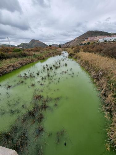 a river with green water in a field at Pinar de GARRUCHA in Garrucha