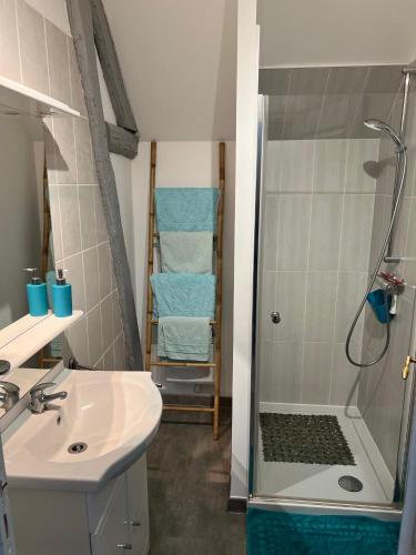 une salle de bain avec douche et lavabo dans l'établissement Maison de Charme, à Saint-Règle