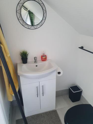 a bathroom with a sink and a mirror on the wall at Mount Bolton Apartment in Portlaw