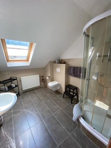 a bathroom with a shower and a toilet and a sink at Haus am Hang in Bernkastel-Kues