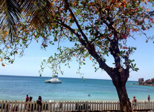a boat on the beach with a tree and a fence at Sunset Shores Beach Hotel in Kingstown