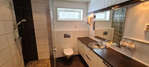 a bathroom with a sink and a toilet and a shower at Cheerful 4-bedroom home with fireplace, 1,5km from Flåm center in Aurland