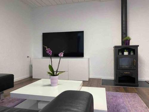 a living room with a tv and a coffee table at Geräumige Wohnung im Schweizer Vekehrspunkt in Hunzenschwil