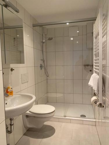 y baño con ducha, aseo y lavamanos. en Altstadt Apartment, en Bamberg