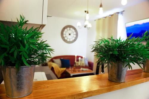 two potted plants on a wooden shelf in a living room at Les Lofts De Provins Apt 2 in Provins