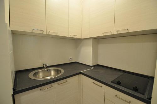 Kuchyň nebo kuchyňský kout v ubytování Rafailovici Holiday Apartments