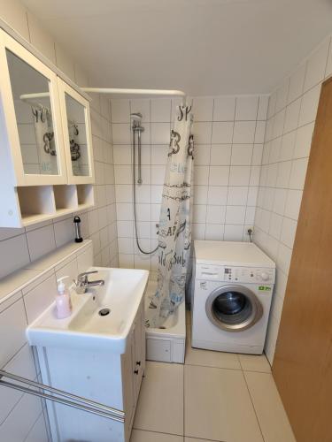 a bathroom with a sink and a washing machine at Ferienwohnung Sonnenhaus in Wonsees