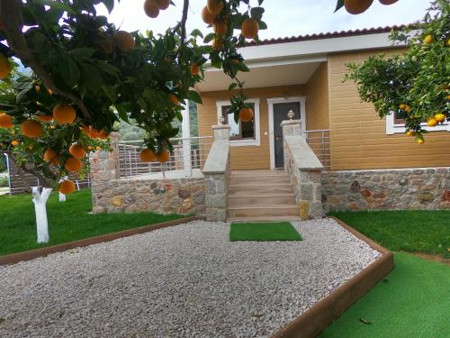 a house with an orange tree in front of it at Desa Green Homes in Ancient Epidavros