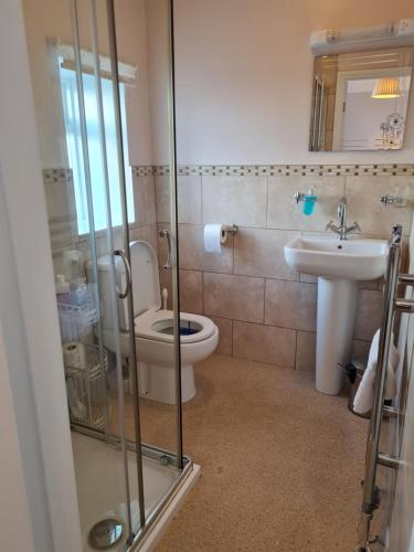 a bathroom with a toilet and a sink at Rowan Tree House B&B in Sleights