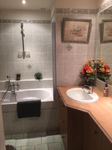 une salle de bain avec une baignoire et un lavabo et une baignoire dans l'établissement La Gentillere “Ancien Ermitage”PNR du Perche 3 *, à Brunelles