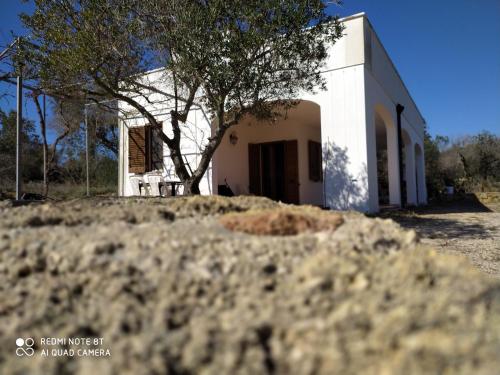 Il roseto di Andrea – Photos 2