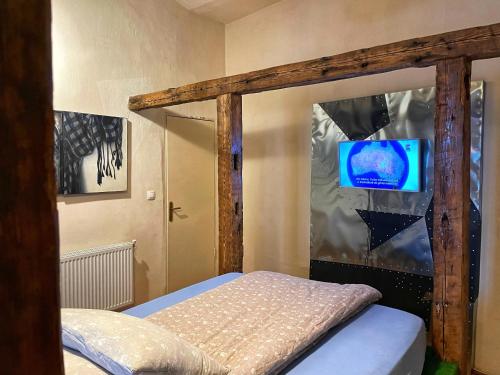 a bedroom with a canopy bed with a tv at Apartamente a la Cluj in Cluj-Napoca