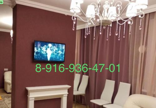 クラスノゴルスクにあるАпартаменты-Студии КРОКУСのリビングルーム(テレビ付)、壁掛けの椅子