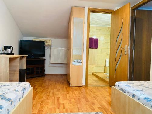 a room with two beds and a television and a bathroom at Casa Adriana in Băile Herculane