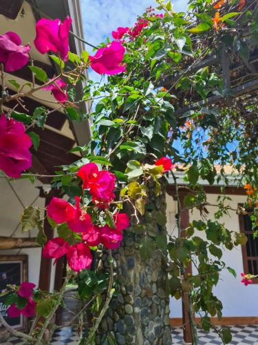a bunch of pink roses hanging from a building at Casa Santamaria Hotel Campestre in Jericó