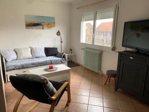 een woonkamer met een bank en een tv bij Maison chaleureuse avec cheminée et extérieur in Luxeuil-les-Bains