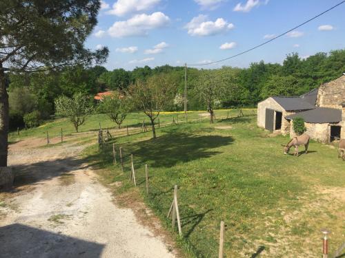 a horse grazing in a field next to a barn at Camping de la ferme aux ânesses, mobil home sofia2 in Bressuire