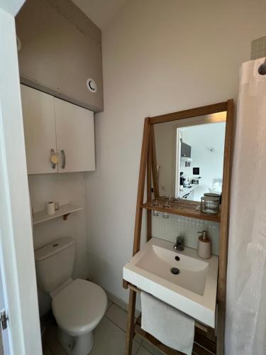 Koupelna v ubytování Studio RIQUET indépendant attenant à Villa