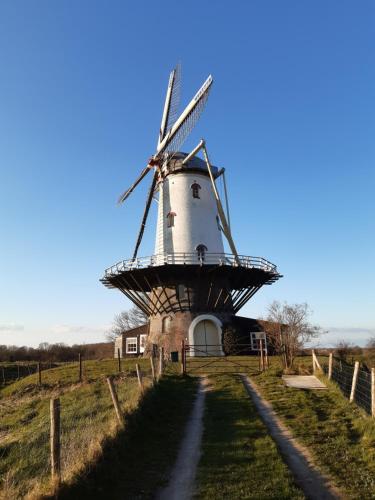 a windmill on the side of a dirt road at Studio Bourbon in Veere