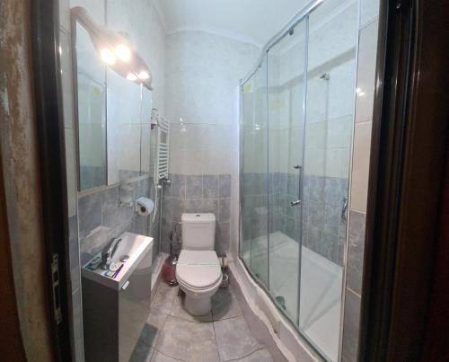a bathroom with a shower and a toilet and a sink at Pensiunea La Palia in Iaşi