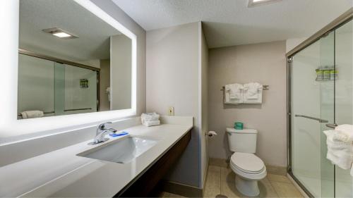 La salle de bains est pourvue d'un lavabo, de toilettes et d'un miroir. dans l'établissement Holiday Inn Express & Suites Ashtabula-Geneva, an IHG Hotel, à Austinburg