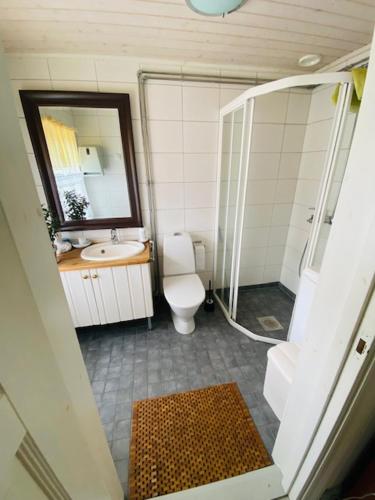 a bathroom with a toilet and a sink and a mirror at Pollin Piha in Töfsala
