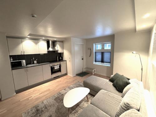 Kuchyň nebo kuchyňský kout v ubytování Daltind - Modern apartment with free parking