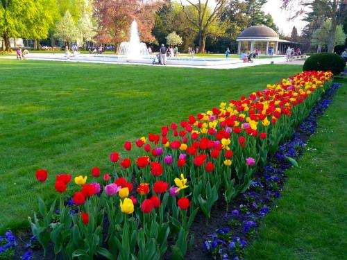 a row of flowers in a park with a fountain at Homestay Poděbrady in Poděbrady