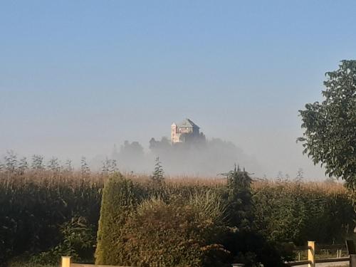 a house in the middle of a field in the fog at Pension Persch in Völkermarkt