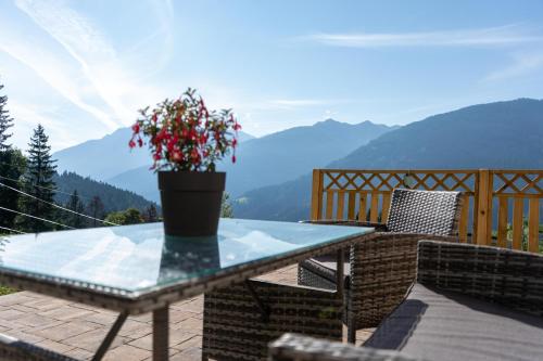 a table with a potted plant on a balcony with mountains at Nigglerhof in Liesing