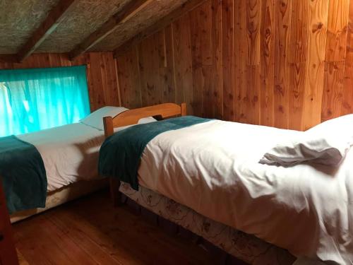two beds in a wooden room with a window at Cabañas Costanera in Villarrica