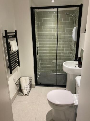 a bathroom with a shower and a toilet and a sink at Greenbank, Lower Greenbank Guest Suite in Oban