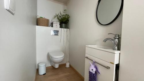 a bathroom with a toilet and a sink and a mirror at Cozy Little House Meex - 5km from Võru in Meegomäe