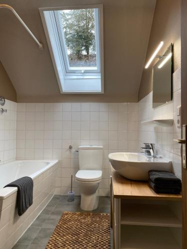 a bathroom with a sink and a toilet and a window at S-VILLA Apartments im Schwarzwald in Schiltach