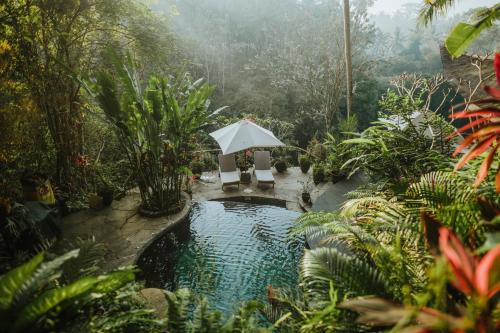 a pool in a garden with two chairs and an umbrella at Ananda House 3bds Eco Bamboo House Pool River View in Bringkit