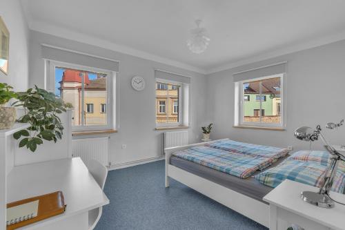 ein Schlafzimmer mit einem Bett und zwei Fenstern in der Unterkunft Apartmán U Javorky in Lázně Bělohrad