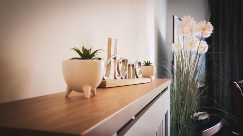 a shelf with plants and a vase on it at High Street - 2BD Apt - King Beds - Parking - Wise Stays in Southampton