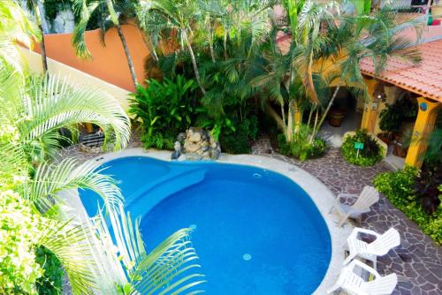 an overhead view of a swimming pool with chairs and palm trees at Bungalows Jaqueline in Sayulita