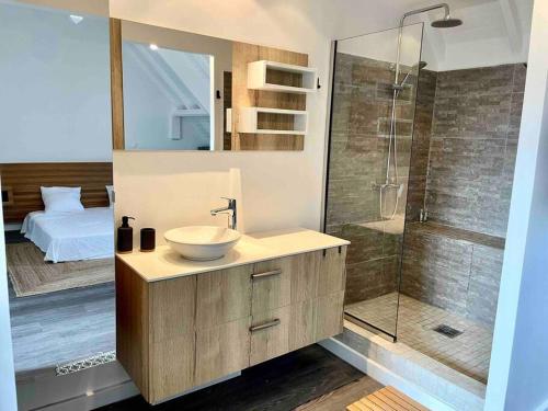 a bathroom with a sink and a glass shower at One bedroom Duplex TIT’ HOME Orient bay in Orient Bay