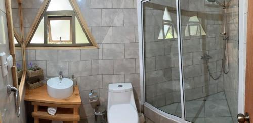 een badkamer met een douche, een toilet en een wastafel bij Refugios del Ranco in Lago Ranco