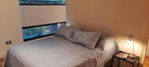 a bedroom with a bed with pillows and a window at LOFT MIC in Chacras de Coria