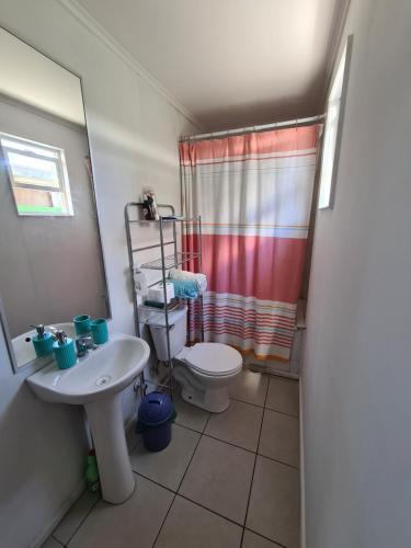 a bathroom with a sink and a toilet and a shower at Casa Rucapillan Villarrica in Villarrica