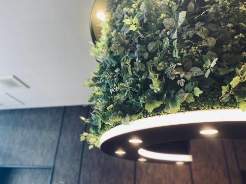 a planter with a green plant on it at Hotel Halrotto Fukuoka Hakata in Fukuoka