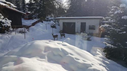 a yard covered in snow with two deer in front of a house at Chalupa 387 in Harrachov